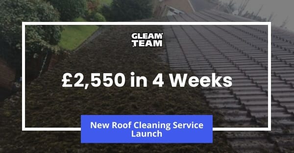 google-ads-roof-cleaning-case-study-main
