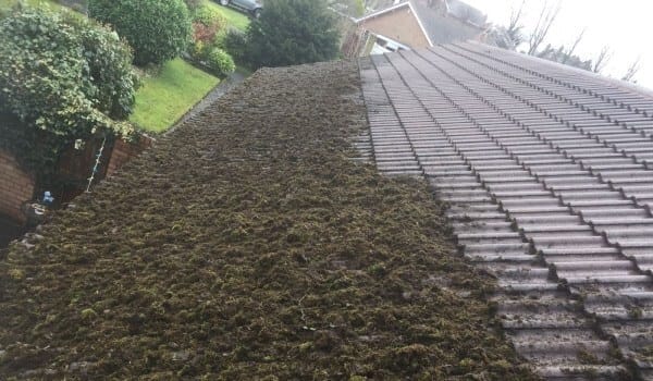 roof cleaning google ads case study